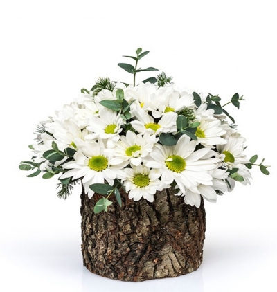 Öğretmenler günü temalı 7 gül Çiçeği & Ürünü Doğal Ahşap Kütükte Papatyalar 