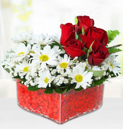  Çiçeği & Ürünü Kalp Mikada Papatyalar ve Güller 