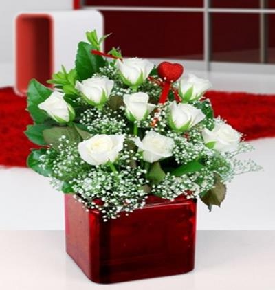 Öğretmenler gününüz kutlu olsun papatya ve güller Çiçeği & Ürünü Kırmızı Karede 9 Beyaz Gül 