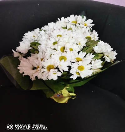  Tekirdağ Çiçek Gönder Papatya  Sadeliği