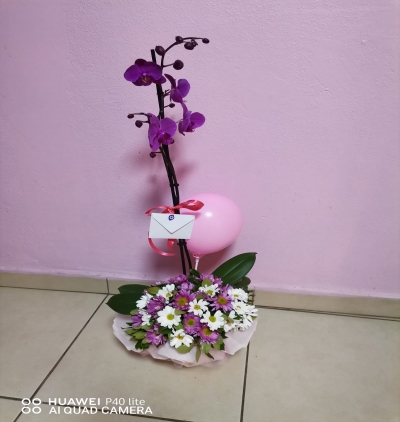  Tekirdağ Çiçek Tek Dallı Orkide Arajmanı
